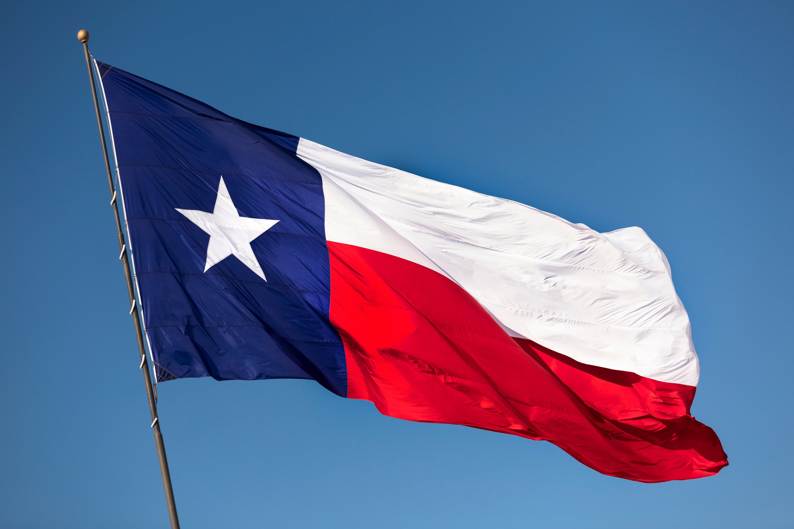 Texas state flag